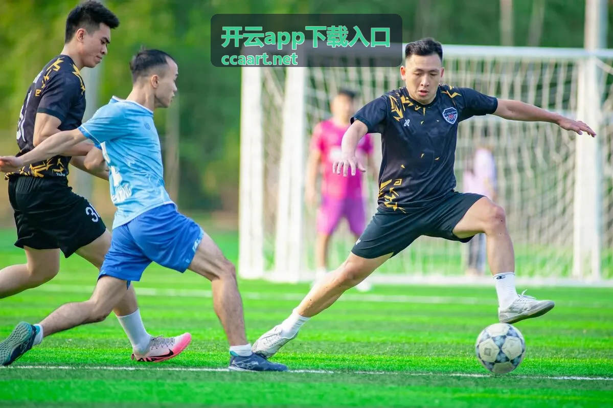 开云app下载入口更新说明核对示意图