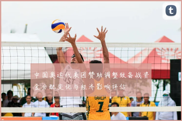 中国奥运代表团赞助调整致备战资金分配变化与经济影响评估